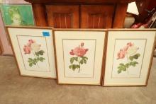 3 Framed Flower Prints