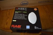 Rab Skeet SK12XL12RYN LED Light