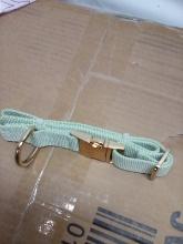 Mint Green Dog collar – m/l