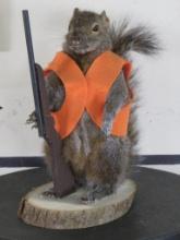 Hunting Squirrel on Base TAXIDERMY