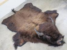 Absolutely Incredible XXL Buffalo-Bison Rug w/Mounted Head TAXIDERMY