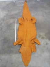 Nice Big Soft Tanned Orange Dyed Alligator Belly Leather/Skin TAXIDERMY