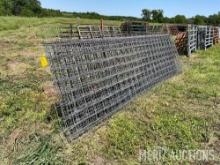 (22) 16ft. Cattle panels