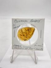 Antique Large Burmese Amber piece with large number of fossil incest (scarce)