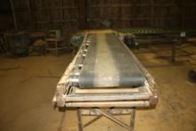 Belt Conveyor 24" x 9' 6" w/Dr