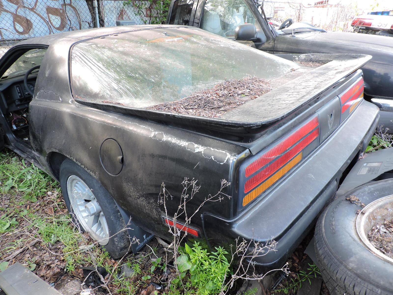 1989 Pontiac Firebird Formula 350 / Automatic / Only 72K Miles