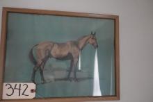 HORSE PRINT FRAMED UNDER GLASS 17 INCH X 13 INCH