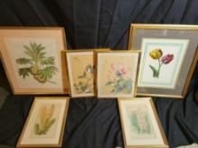 Assorted asian, floral and botanical prints