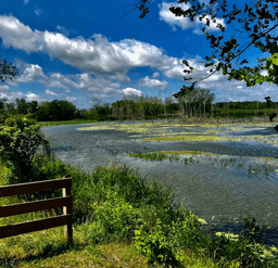 Invest Along Michigan's Lakeshore Near Lake Erie!