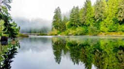 Explore Gray's Harbor, WA: Where Beaches Meet Rainforests!