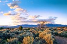Almost Two Acres to Own in Valencia County, New Mexico!