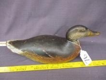 Mason Premier Hen Duck Decoy